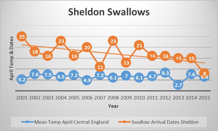 Swallow Graph