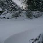 Snowy Yard